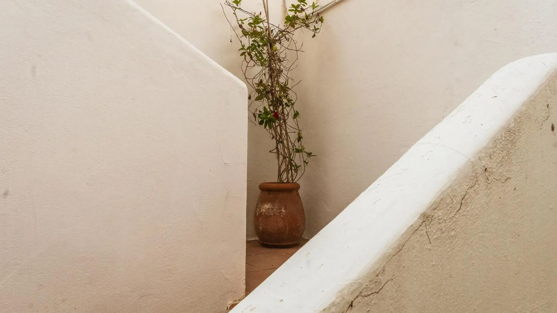 Lägenhet Casa Mariposa Alghero